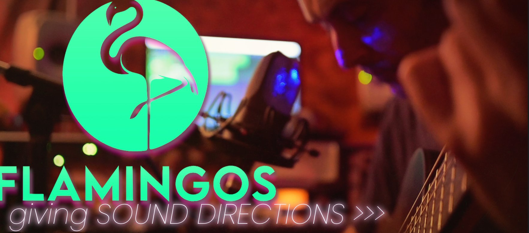 Guitar recording at the Flamingos studio – giving Sound Directions
